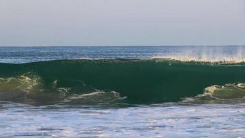 De grosses vagues de surfeurs extrêmement énormes à la plage de puerto escondido au mexique. video
