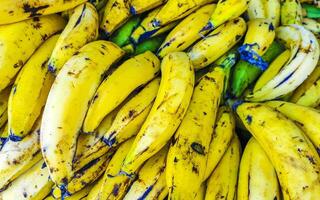 Plantains banana fruit Fruits on the market in Mexico. photo