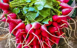 Redies radish radishes vegetables on the market in Mexico. photo