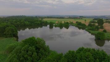 aereo metraggio di riflessivo foresta lago nel zen la tranquillità video