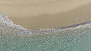 Top-down view of clear water shoreline video