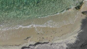 Shoreside canvas from above video