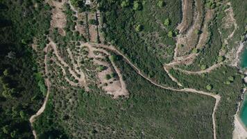 Aerial exploration of a lush island video