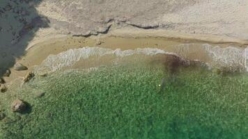 bord de mer embrasse de une drone vue video