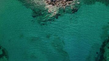 Aerial view of crystal clear cove video
