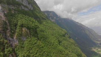 antenn antal fot av alpina bergen med tät vegetation video