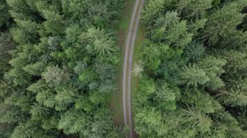 Aerial top-down view of drone turning along forest path video