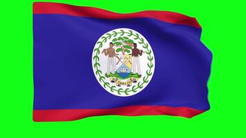 Waving flag of Belize Animation 3D render Method video