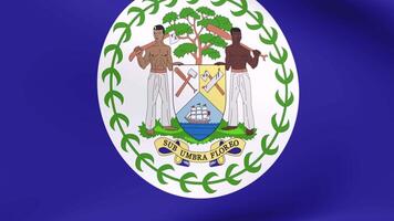 golvend vlag van Belize animatie 3d geven methode video