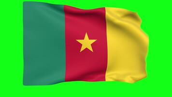 Waving flag of Cameroon Animation 3D render Method video