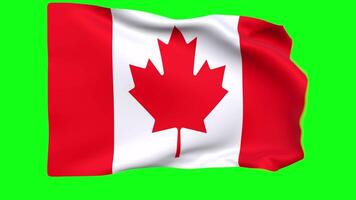 acenando bandeira do Canadá animação 3d render método video