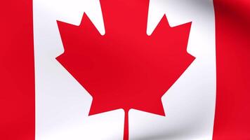 Waving flag of Canada Animation 3D render Method video