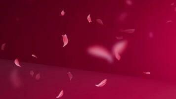 red background with pink petals falling from the sky video