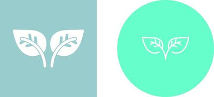 Leaf Vector Icon