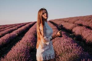 mujer lavanda campo. contento despreocupado mujer en un blanco vestir caminando en un lavanda campo y oliendo un lavanda ramo de flores en puesta de sol. ideal para calentar y inspirador conceptos en pasión de viajar y viajar. foto