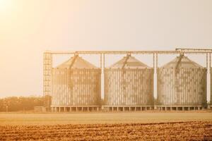 silos y granero ascensor. moderno agroprocesamiento fabricación planta con secado de granos complejo. Procesando, el secado, limpieza, y almacenamiento agrícola productos en trigo, centeno o maíz campos foto