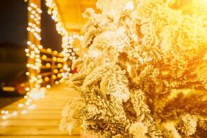 Snow-covered Christmas tree with bright white lights situated outdoors near a building, a welcoming festive moment. photo