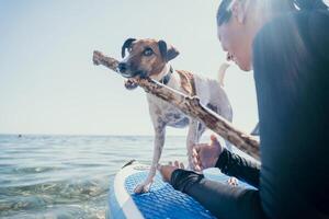 mar mujer sorber. silueta de contento positivo joven mujer con su perro, surf en cenar tablero mediante calma agua superficie. idílico puesta de sol. activo estilo de vida a mar o río. verano vacaciones con mascotas. foto