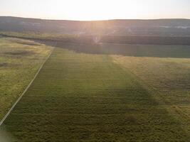 aéreo ver en verde trigo campo, la carretera y colinas en campo. campo de trigo soplo en el viento en puesta de sol. orejas de cebada cosecha en naturaleza. agronomía, industria y comida producción. foto