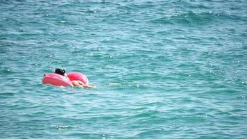 zomer vakantie vrouw drijft Aan een opblaasbaar donut matras, een water speelgoed- zwemmen ring. positief gelukkig vrouw ontspannende en genieten van familie zomer reizen vakantie vakantie Aan de zee. langzaam beweging video