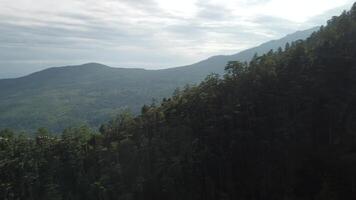 aéreo panorâmico Visão do floresta em rochoso montanha declive - ai petri, Ialta, crimeia. abstrato aéreo natureza floresta e montanhas. clima e clima mudar. férias, viagem e feriado conceito video