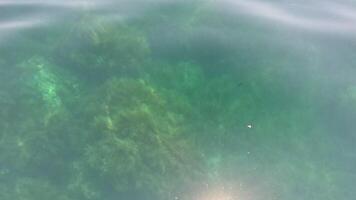 Sea water surface background. Low angle view from kayak, camera flies over the clear green sea water. Nobody. Holiday recreation concept. Abstract nautical summer ocean nature. Slow motion. video