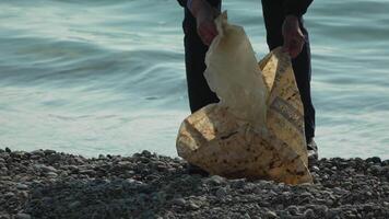 des ordures sur plage - aîné homme recueille des ordures sur plage après tempête, maintenir propreté et conservation environnement. video