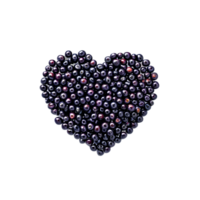 ai généré camarines Profond violet noir petit et rond librement épars dans une cœur formation nourriture et png