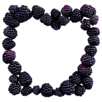 AI Generated Boysenberries dark purple large and juicy loosely scattered in a heart formation Food and culinary png