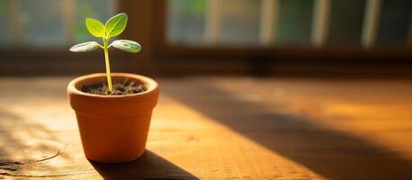 AI generated Sustainable Growth, Young Plant in Terracotta photo