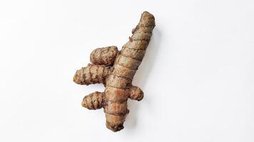 Turmeric Root Isolated, Perfect for Healthy Food Concepts photo