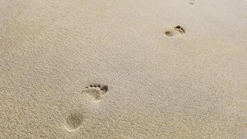 Beach Footprints, Perfect Background for Summer Travel Concepts photo