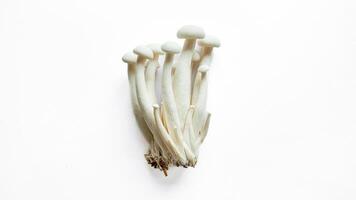 Enoki Mushrooms Cluster Isolated on White photo