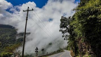 Misty Mountain Road, A Lush, Adventurous Journey photo