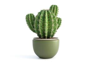 AI generated Green Potted Cactus Isolated for Home Decor Design photo