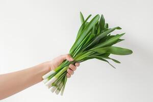 AI generated Hand holding a bundle of identified wild leeks, isolated on a white background photo