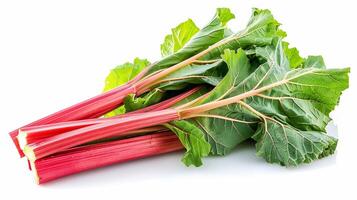 AI generated A fresh rhubarb plant with its red stalks and large green leaves, isolated on a white background photo