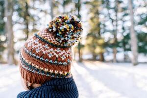 Small child in a knitted colorful hat stands on the edge of a snowy forest and looks into the distance. Back view photo