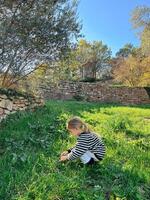 Little girl squats in a clearing and collects something in the grass photo