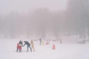 niños con adultos hacer muñecos de nieve en un Nevado brumoso llanura foto