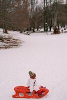 Small child rides in a sled on a snowy plain and looks at the trees photo