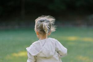 pequeño niña con fluido pelo camina mediante un claro. espalda ver foto