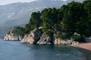 Sheer rocky seashore with green trees against the backdrop of mountains photo