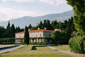 Green garden near Villa Milocer at the foot of the mountains. Montenegro photo