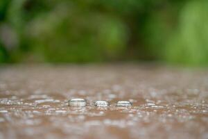 Boda anillos en gotas de lluvia mentira en losas en un verde jardín foto