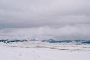 Snowy pastures in a mountain valley with wooden fences photo