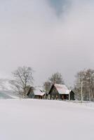 Wooden cottages in a snowy mountain valley photo