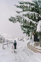 Mom watches a little girl walking along a snowy village road behind a tabby cat photo