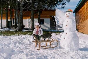 pequeño niña mira a el gatos sentado en un trineo cerca un monigote de nieve en el yarda foto