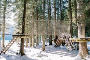 Endurance mesh bridge in amusement park in winter forest photo